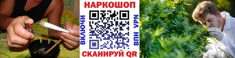 Где купить наркотики Волхов МЕТАМФЕТАМИН МЕФ Псилоцибиновые грибы ГАШИШ APVP