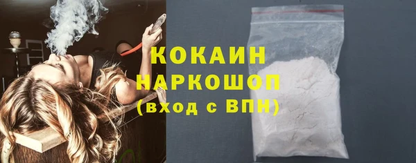 бошки Алексин