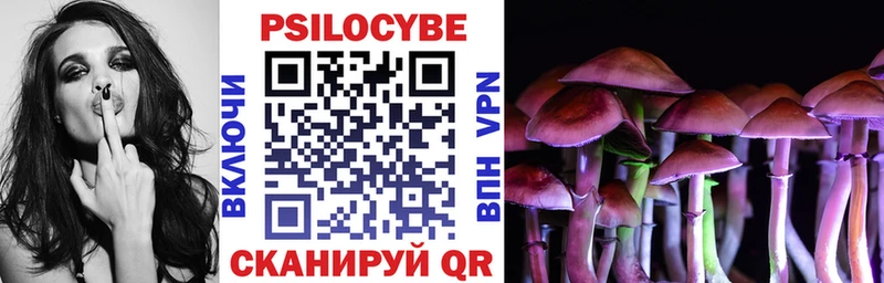 Псилоцибиновые грибы Cubensis Волхов