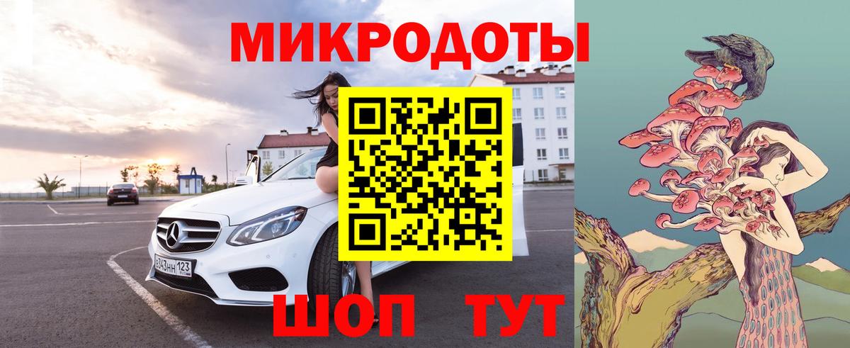 Волхов  хочу   Вход с VPN  Галлюциногенные грибы Psilocybine cubensis  Галлюциногенные грибы Psilocybe 